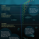 Illustration for article titled What Happens To Sunlight As It Filters Through The Ocean?